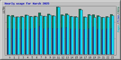 Hourly usage for March 2025